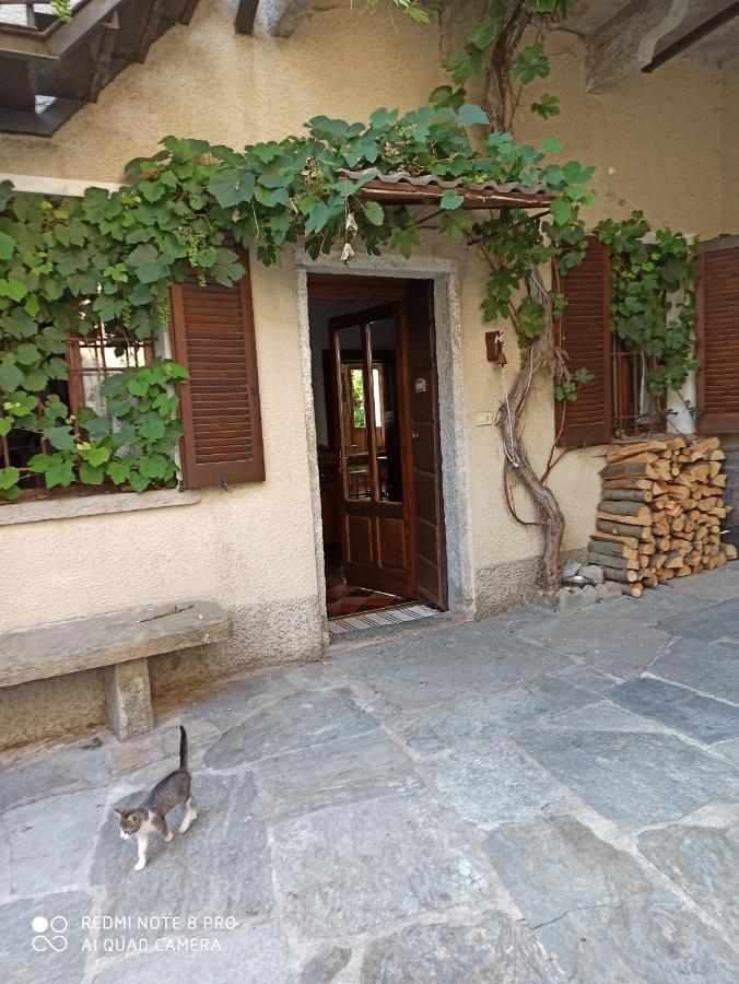 Casa Olmi Hotel Castiglione d'Intelvi ภายนอก รูปภาพ